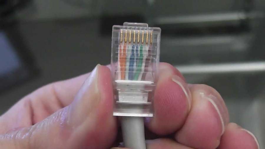 Cable de red armado con ficha macho. Foto: Youtube